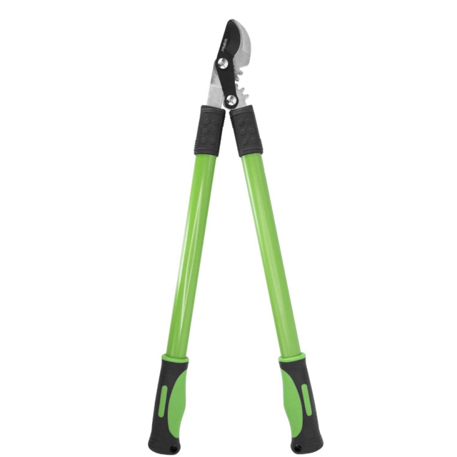 Green Branch Clippers