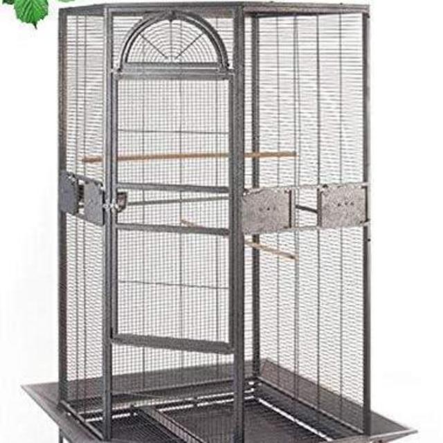 New Bird Cage