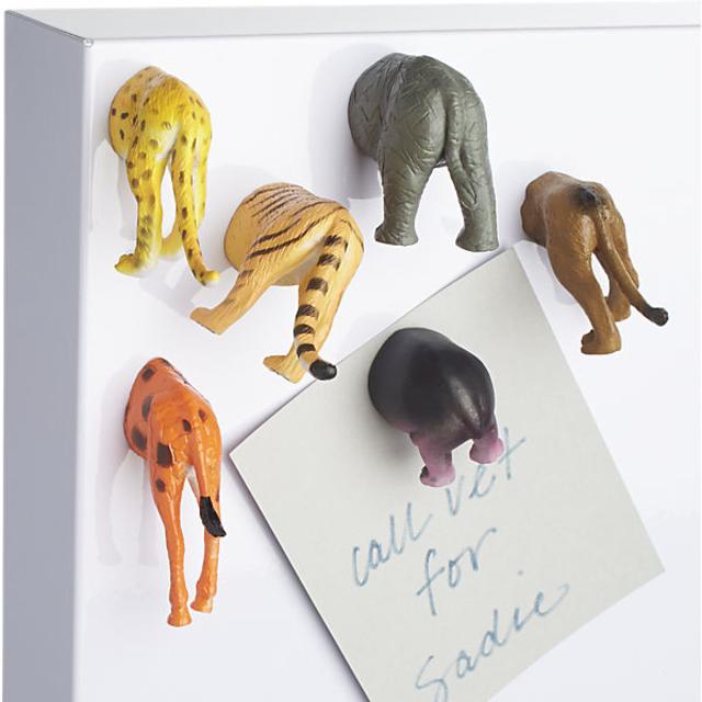 set of 6 safari magnets
