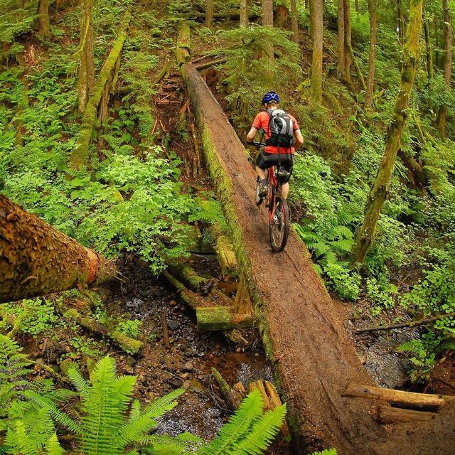 Mountain Bike Rental in Squamish