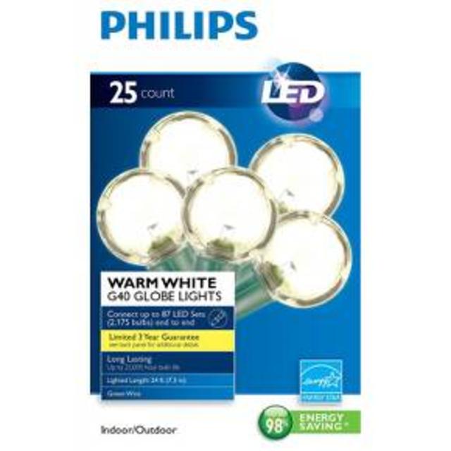 LED Globe String Lights- Warm White