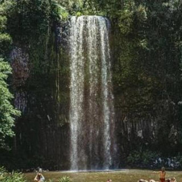 Atherton Tablelands Waterfalls and Rainforest Day Tour