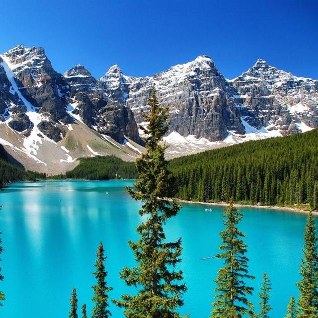 Round Trip Airfare to Canada