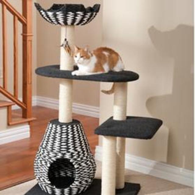 4 Level Contemporary Cat Tower