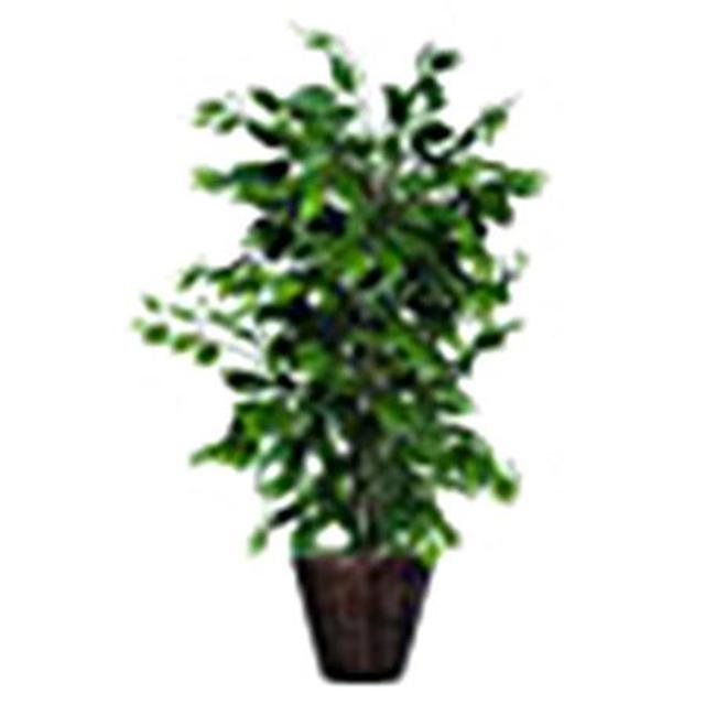 Vickerman Co. Bushes Artificial Potted Natural Ficus Tree in Basket