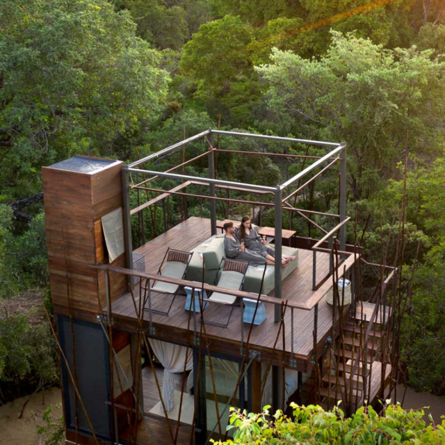 Ngala Treehouse Experience