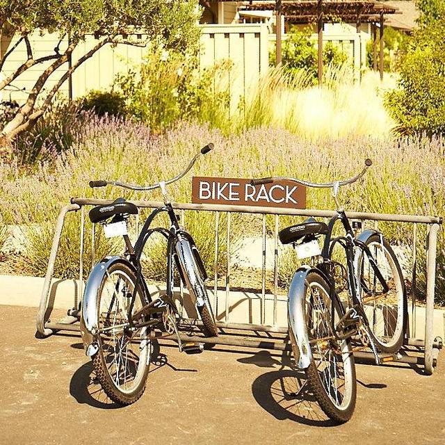 Bike Tour in Calistoga