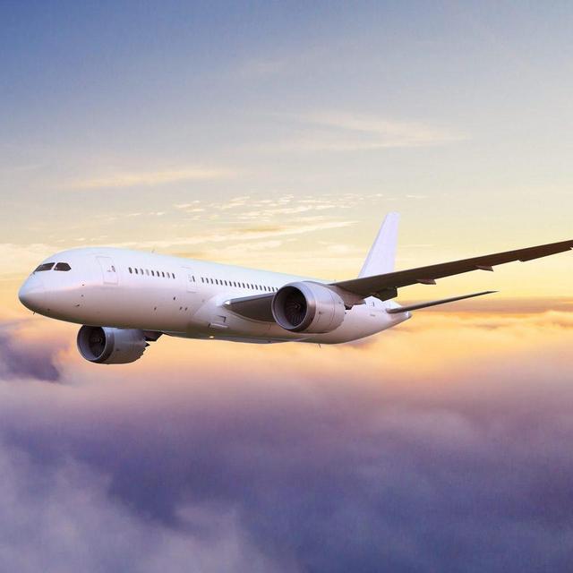 Airline Tickets