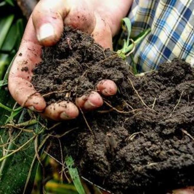 Catalyze Our Soil Health: Offset your carbon footprint of your trip (or even the year!) by supporting regenerative agriculture through the world's largest soil-based carbon program - through Indigo Ag (Heidi's Company!)