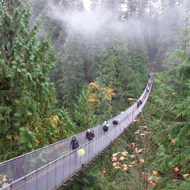 Capilano Suspension Bridge Park