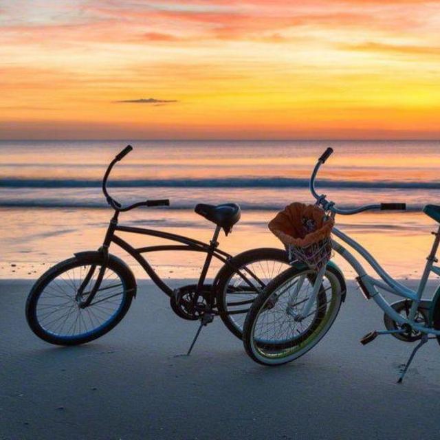 Bike Rentals for Honeymoon