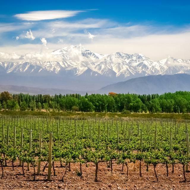 Our Honeymoon to Argentina & Chile!