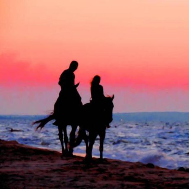 Honeymoon Excursions | Horseback Ride on the Beach