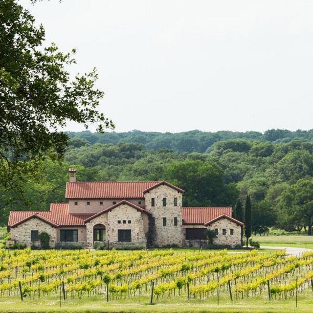 Vineyard Tour with Dinner
