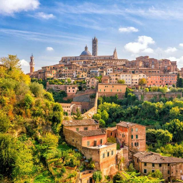 Wine Tasting Tour in Tuscany