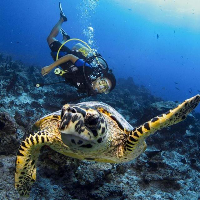 Scuba and watersports in Maldives