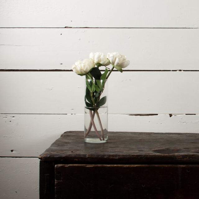 White Peony Stem