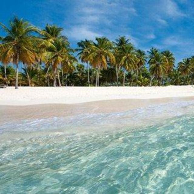 Excursion to Saona Island
