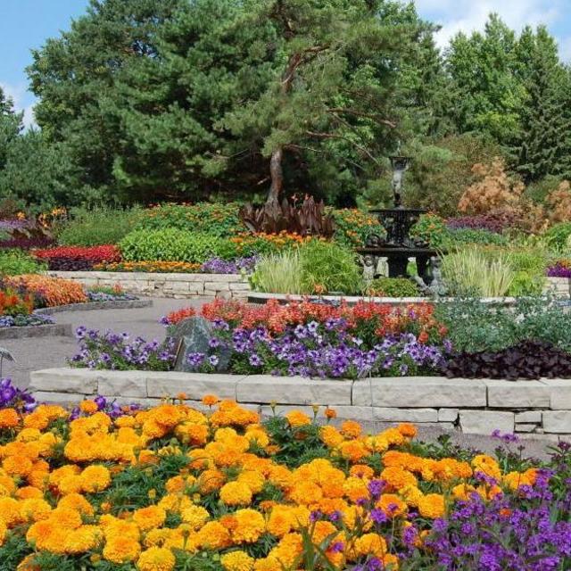 UMN Arboretum Membership