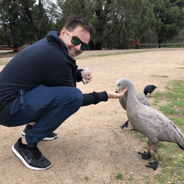 Animal Encounter