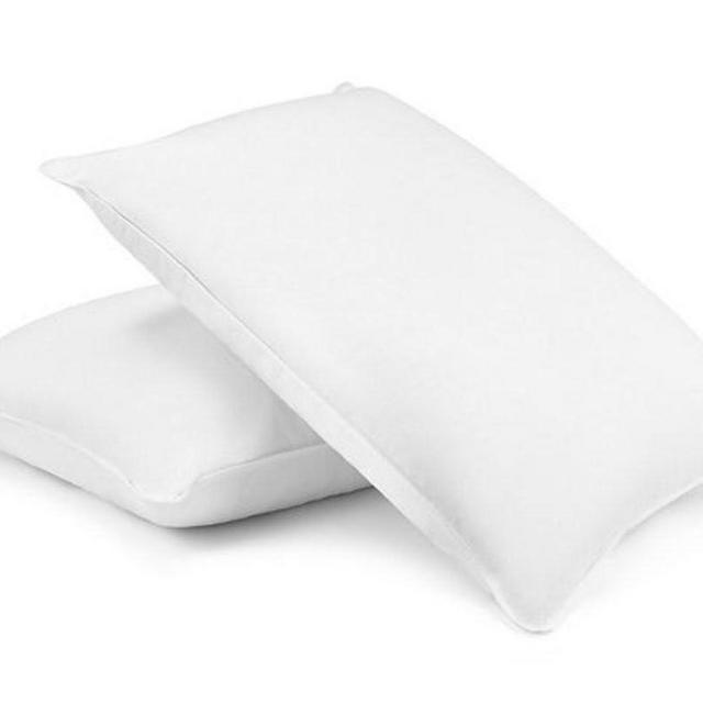 Chaps Allergy Defense 2 Pack Pillows - Jumbo