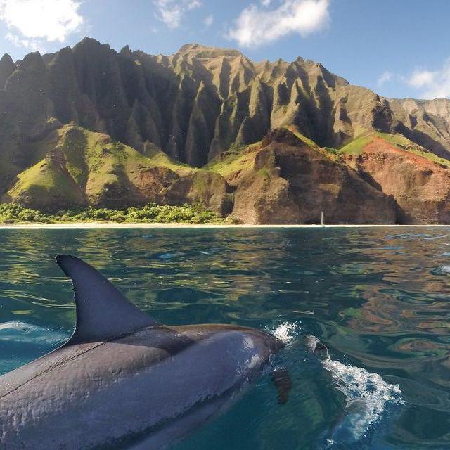 Honeymoon in Hawaii!