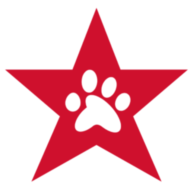 Charity Donation: Freedom Service Dogs