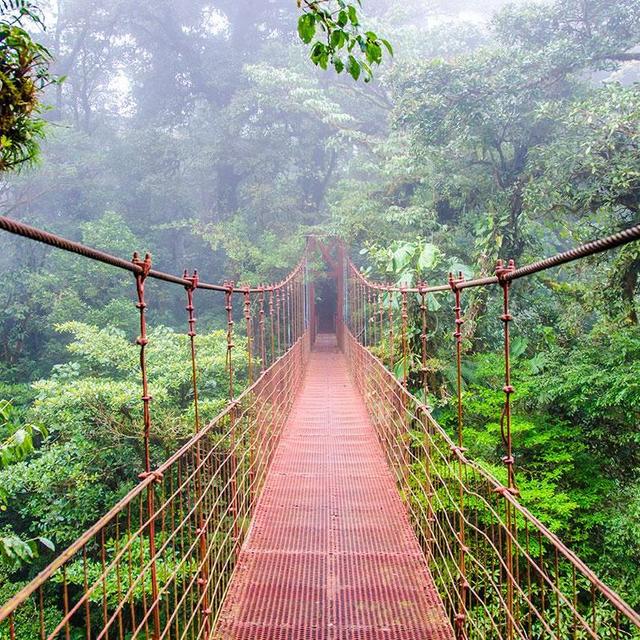 Montreverde Cloud Forest Honeymoon Trip
