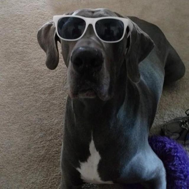 Don't Forget About Me! - Cnut needs a vacation too!