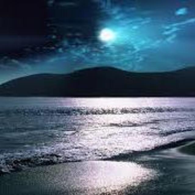 Nighttime Beach Party