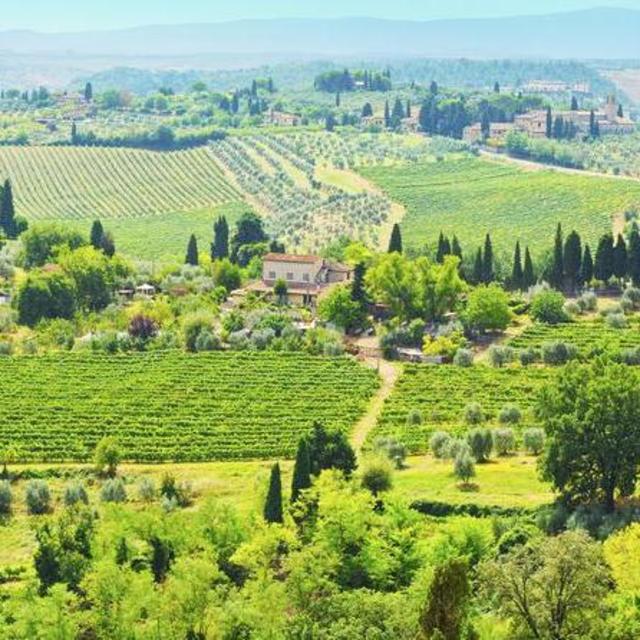 Tuscan Winery Tour