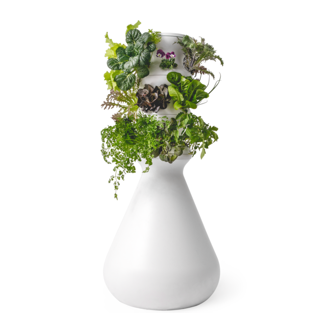 Lettuce Grow Farmstand