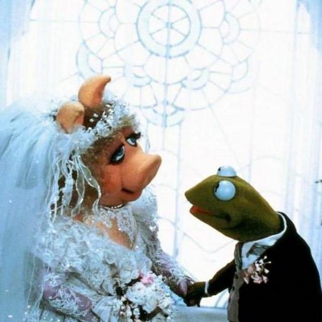 Our Newlywed Fund