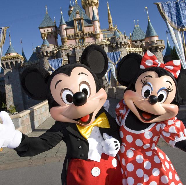 Disneyland Annual Passes