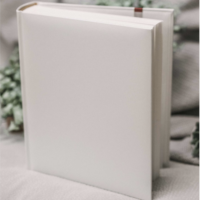 Fund for Wedding Photos (album, framing)