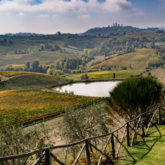 wine + countryside tour