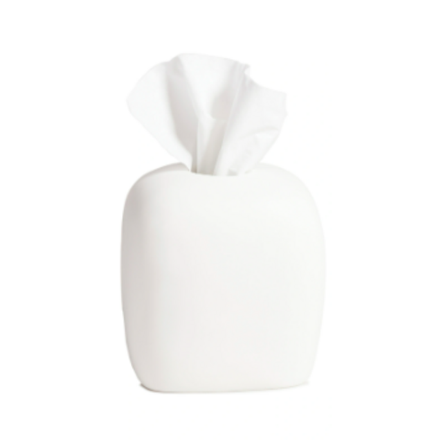 Tina Frey Tissue Box