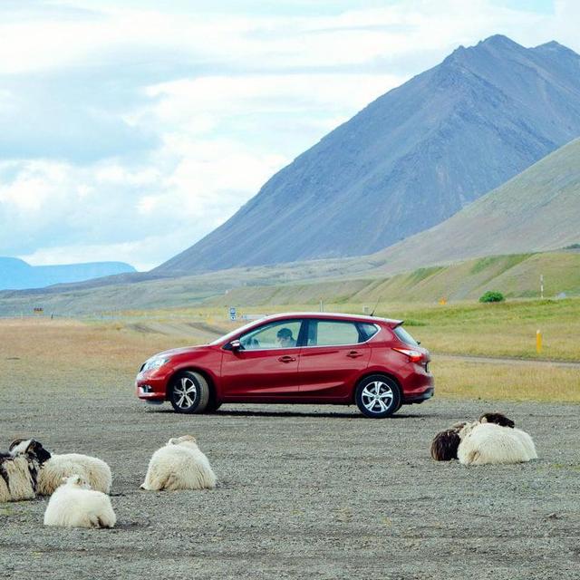 Car Rental to Seattle