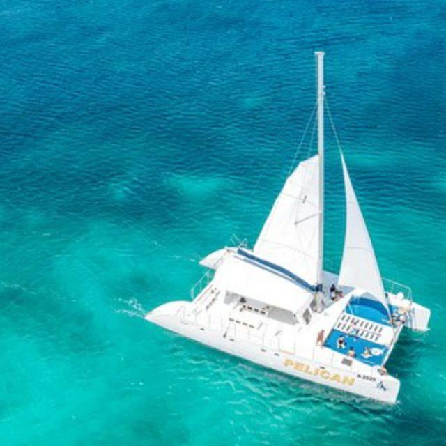 Catamaran Beach Tour & Snorkeling on Our Honeymoon