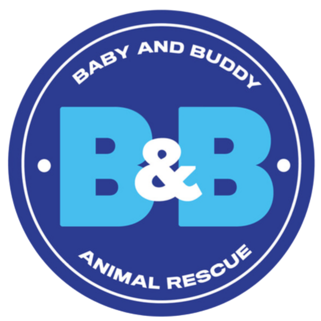 Our Favorite Charity: Baby and Buddy Animal Rescue