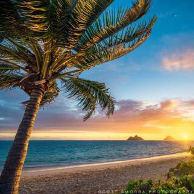 Hawaii Honeymoon