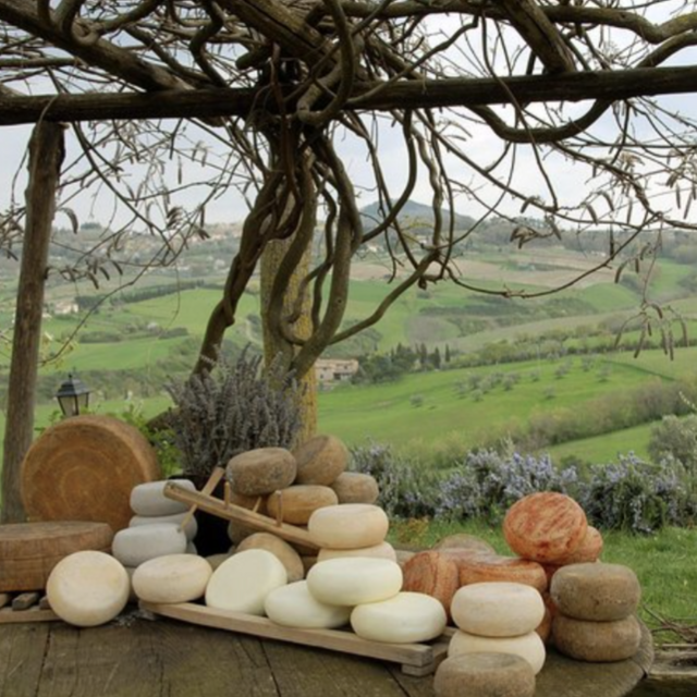Italy honeymoon - Organic farm tour, cheese tasting & lunch