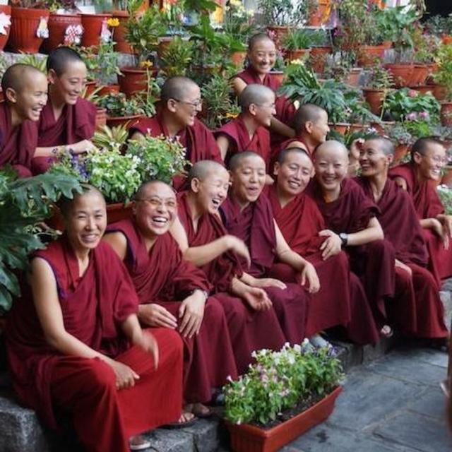 Donations to Tibetan Nuns Project