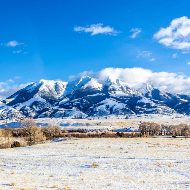 Yellowstone Park Entrance Tickets