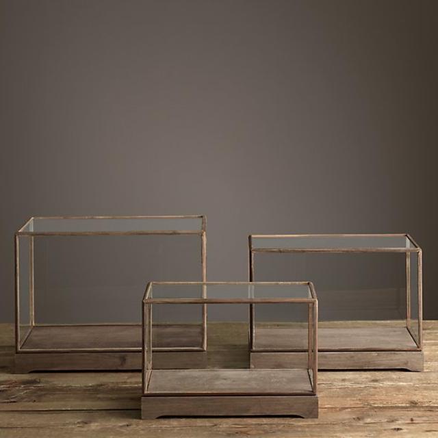 Specimen Display Case - Rectangle