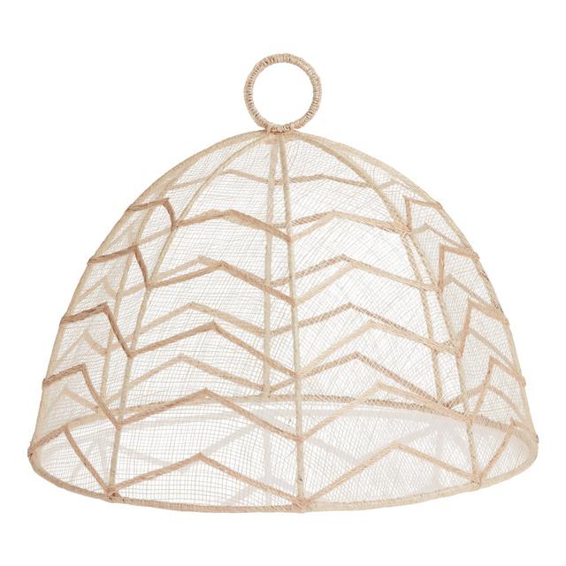 Mesh Food Dome