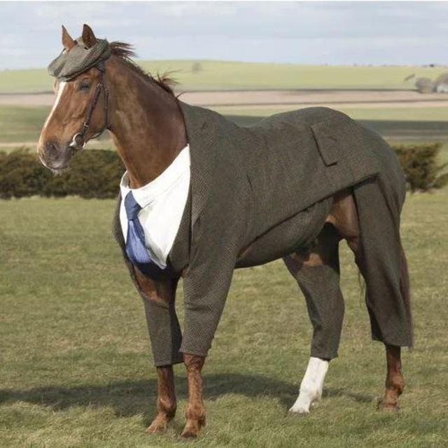 Romantic Horseback Ride
