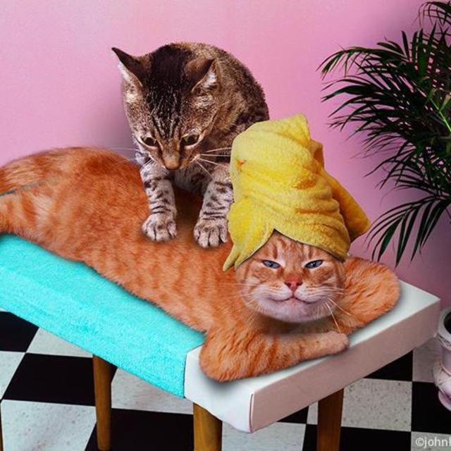 Spa Day