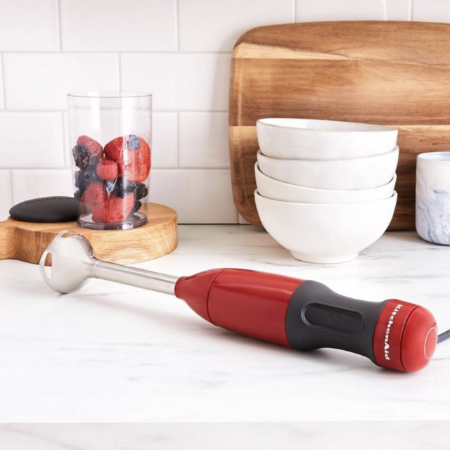 Immersion Blender