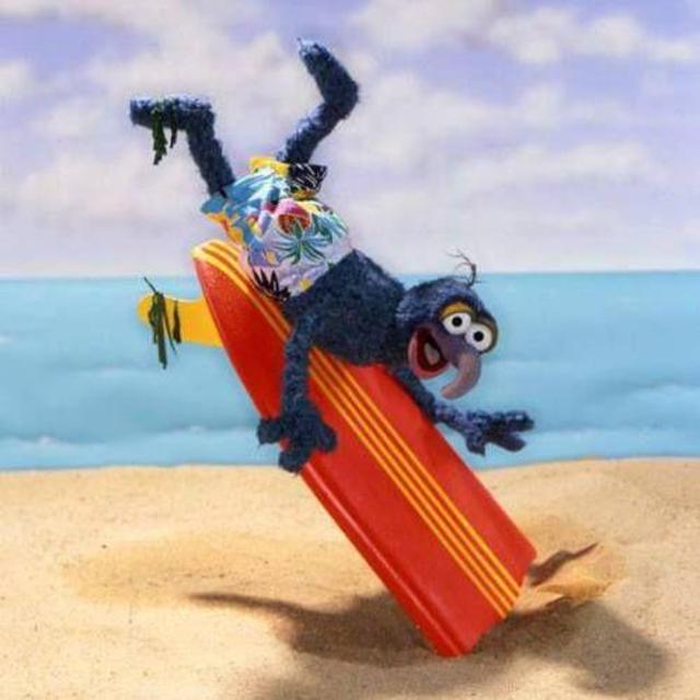 Continue Indi's Newfound Love of Surfing